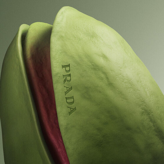 PARADOXE RADICAL ESSENCE LE PARFUM 50ML